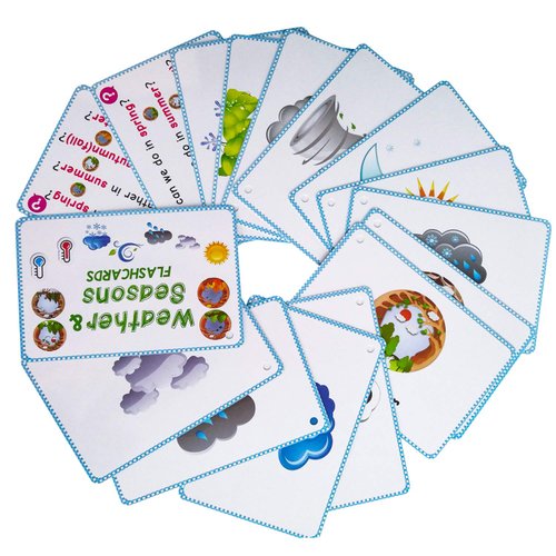 Richardy Weather & Seasons Flashcards Educational Learning Toys Toddlers Kids Learning Pocket Cards Kindergarten Supplies