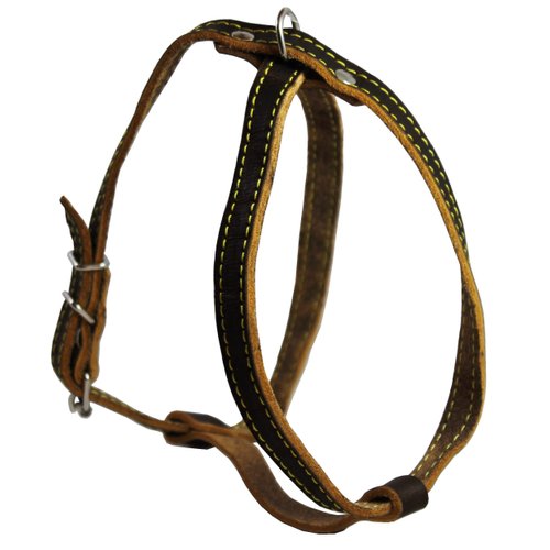 Real Leather Dog Harness, 15"-19" Chest Size, 1/2" Wide, Poodle