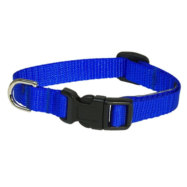 XSmall Blue Nylon Webbing Dog Collar: 1/2" Wide, Adjusts 6-12" - Made in USA.