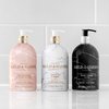 Baylis & Harding Liquid Hand Soap Wash with Dispenser, Elements, Pink Blossom & Lotus Flower, 16.9oz/500ml