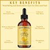 Natural Born Oils Vitamin E Oil (made from Wheat Germ), 16oz, Organic, Cold-Pressed, Nutrient-Rich, Excellent for Glowing Skin, Lustrous Hair