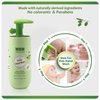 WBM Care Baby Natural Liquid Hand Soap - Honey, Wheatgerm & Organic Olive Oil - 6.8 oz (Pack of 3)