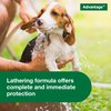 Advantage Flea and Tick Treatment Shampoo for Dogs and Puppies, 8 oz
