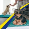 Muddy Mat® Original Dog Door Mat for Muddy Paws, Super Absorbent Microfiber, Non-Slip Washable Pet Rug, Quick Dry Chenille Entryway Carpet, Machine Washable Indoor Outdoor mat, Teal 18"x28"