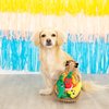 Fringe Studio Plush Dog Toy Set, Interactive Hide and Seek Play, Fiesta Till You Siesta, Pet Shop Collection (289226)