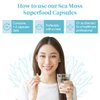 Atlantic Naturals Organic Sea Moss Capsules | Immune System, Thyroid Health, Beautiful Skin and Digestion Supplement | 120 Irish Sea Moss Capsules | Better Than Sea Moss Gel and Sea Moss Powder