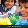 BBC Earth Science of Crystal Growing, Grow 3 Dazzling Crystals, Includes Display Case, Powdered Paints, Learning Guide, Crystal Growing Kit, STEM Toys, Kids Science Kit, STEM Kits For Kids Age 12-14