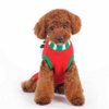 Dogo Mitten Scarf Holiday Dog Sweater (XXS)