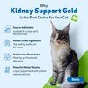 Pet Wellbeing Kidney Support Gold for Cats - Vet-Formulated - Supports Healthy Kidney Function in Cats - Natural Herbal Supplement 2 oz (59 ml)