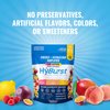 Hyburst Energy and Hydration Amplifier — 4-in-1 Electrolytes Powder Packets with Vitamins, Minerals & L-Theanine — Zero Caffeine Energy Drink — Hangover Relief — 15 Hydration Packets Variety Pack