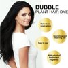 Huang Yi Natural Plant Bubble Hair Dye,Pure Plant Extract for Grey Hair Color Bubble Dye Shampoo. (Black Tea)