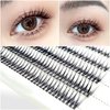 CB Individual False Eyelashes, DIY Individual Cluster Eyelash Extensions At Home, Natural Look Lashes, Mixed Tray Of 8mm/ 9mm/ 10mm/ 11mm/ 12mm, 2 Trays, Swallow-Tail