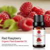 Raspberry Essential Oil, 100% Pure Organic Natural Aromatherapy Raspberry Oil for Diffuser, Massage, Yoga, Meditation, Bath, Skin Care (10ml)