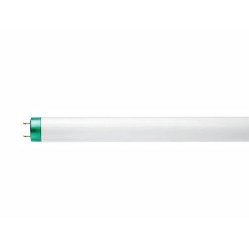Philips 17W 24in T8 Bright White Fluorescent Tube