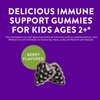 Nature's Way Sambucus Elderberry Immune Gummies for Kids, Immune Support Gummies*, with Black Elderberry Extract, Vitamin C and Zinc, 60 Gummies (Packaging May Vary)