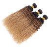 12A Ombre Brazilian Virgin Curly Hair 3 Bundles (T1B/30/27,20" 22" 24") Ombre Virgin Remy Kinky Curly Human Hair Weave Bundles 100% Unprocessed Virgin Remy Hair Bundles 3 Tone Ombre Hair Bundles
