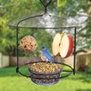 Nature's Way BBFM1 Bluebird Buffet Metal Bird Feeder with Protective Baffle, Outdoor Wild Bird Feeder and Décor, One Glass Dish with 3/4 Cup capacity, Blue