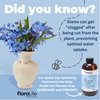 FloraLife Quick Dip Hydration Treatment for Cut Flowers & Bouquets - Floral Supplies for Fresh Flowers, Floral Arrangement Supplies (8oz)