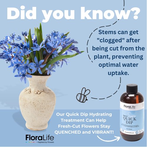 FloraLife Quick Dip Hydration Treatment for Cut Flowers & Bouquets - Floral Supplies for Fresh Flowers, Floral Arrangement Supplies (8oz)