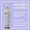 The Mane Choice Heavenly Halo Herbal Hair Tonic & Soy Milk Deep Hydration Softening Milk, 8 Ounce