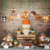 Anor Wishlife 30Ct Woodland Animals Decorations,Forest Animal Decorations,Fox Hanging Swirl Ceiling Streamers Decorations for Girls,Boys,Kids Home,Classroom,Baby Shower,Office