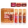 gcdat 3 Colors Lip Plumping Booster, Lip Plumper Gloss, Duck Plump High Pigment Plumping Lip Gloss with Spicy Ginger, Vegan Lip Makeup, 4.8ml Each (Set B, 3 PCS)