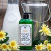 Bates Family Farm Goat Milk and Shea Butter Lotion 8 Oz (Oranges N Honey)