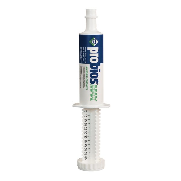 Probios Max Oral Gel Tube, 60cc