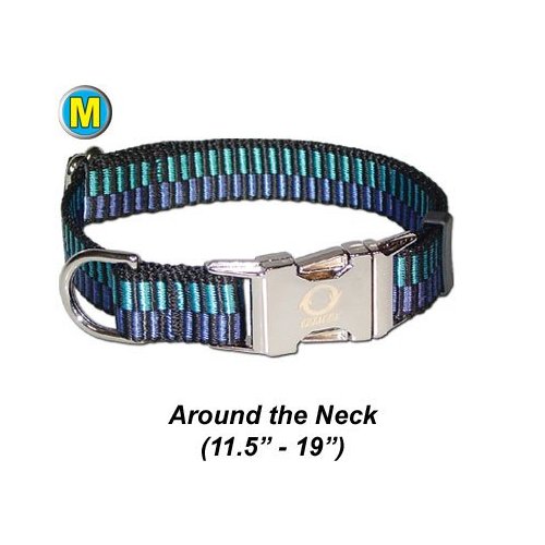 Collar w/ All Metal Hardware - Medium 11.5 - 19" - Champagne Pet/Dog Collar