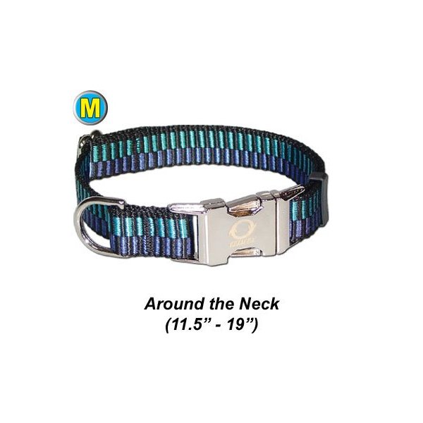 Collar w/ All Metal Hardware - Medium 11.5 - 19" - Champagne Pet/Dog Collar