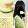 24PCS Wet Dry Hair Brush Mini Travel Portable Soft Brush Wet Hair Brush Colorful Hair Combs Set,Pocket Detangler Hair Combs Birthday Baby Shower Party Favor Gifts for Guest (1 Style)