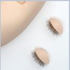 6 Pairs Replacement Eyelids For Mannequin Head Eyelids Realistic Eyelids Silicone Practice Eyelash Training Eyelids Removable Eyelids with Lashes for Lash Practice Eyelash Extensions