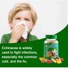 Gummi King Echinacea Plus Vitamin-C Zinc Supplement, Strawberry/Lemon/Orange/Grape/Cherry/Grapefruit, 60 Count