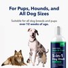 Honest Paws Dog Shampoo and Conditioner - 5-in-1 for Allergies and Dry, Itchy, Moisturizing for Sensitive Skin - Sulfate Free, Plant Based, All Natural - Oatmeal & Aloe -16 Fl Oz
