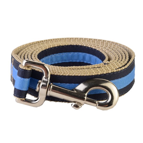 Paw Paws USA Prep School Wrigley Dog Leash, X-Small, Multicolored