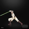 STAR WARS The Black Series Jedi Master Indara, The Acolyte Collectible 6 Inch Action Figure