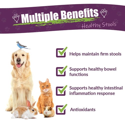 AMBER NATURALZ Kochi Free Herbal Supplement for Dogs, Cats, Birds, Guinea Pigs, and Rabbits | Pet Herbal Supplement for Healthy Stool Support | 4 Fluid Ounce Glass Bottle | Manufactured in The USA