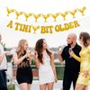 Breling Pre-Strung A Tini Bit Older Banner 20 ft A Tini Bit Older Garland Banner Martini Birthday Party Decorations Glitter A Tini Bit Older Martini Bar Party Decor Supplies(Gold)