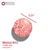 Protocol Methyl B12 10,000mcg - Vitamin B12 - Energy Support and Brain Supplement - 60 Lozenges