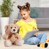 Civaner 4 Pack 14 Inches Christmas Bear Plush Stuffed Animals Cute Soft Bears Bulk for Girls Boys Girlfriend (Light Brown)