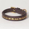 XX-Small Camelot Padded Decorated Genuine Leather Studded Dog Collar; Fits 8" - 10" Neck Size