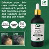 Seddy Organic Castor Oil - 100% Pure - Cold Pressed | Hexane-Free | Premium Grade Oil for Hair Growth, Scalp, Eyelashes, Eyebrows, Skin, & Nails | Glass Bottle- Hair Treatment Oil - 3.4 Fl. Oz