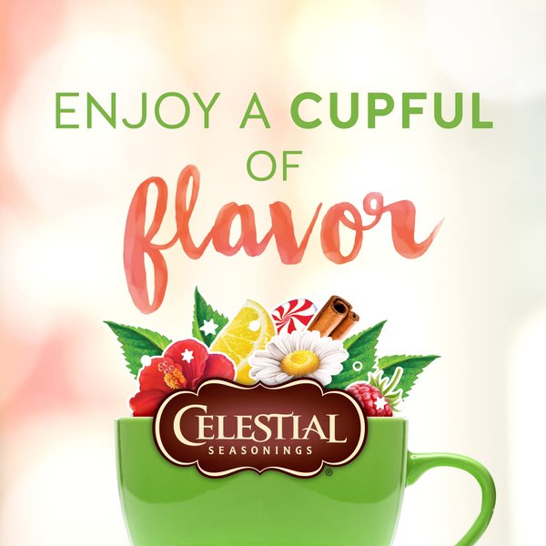 Celestial Seasonings Sleepytime Tea Bags - 40 ct