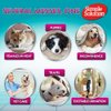 Simple Solution True Fit Disposable Dog Diapers for Female Dogs | Super Absorbent with Wetness Indicator | XXL | 12 Count
