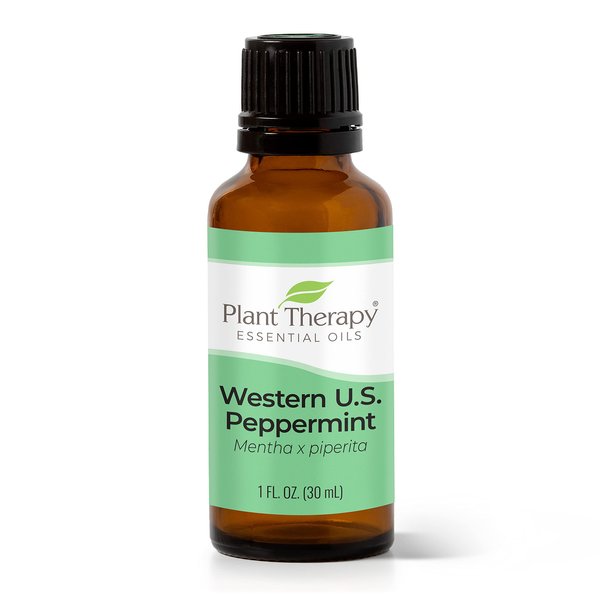 Plant Therapy Peppermint Western U.S. Essential Oil 30 mL (1 oz) 100% Pure, Undiluted, Therapeutic Grade