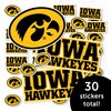 Desert Cactus University of Iowa Sticker Hawkeyes Stickers Vinyl Decals Laptop Water Bottle Car Scrapbook11.46x8.94 T1 (Type 1-1)