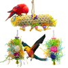 EBaokuup 3Pack Bird Chewing Toys Foraging Shredder Toy Parrot Cage Bird Loofah Hanging Toy for Cockatiel Conure African Grey Parrot