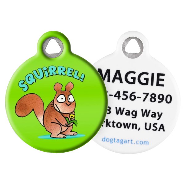 Dog Tag Art Nature Lovers Pet ID Tag for Dogs and Cats (Small (7/8" Diameter), Squirrel)