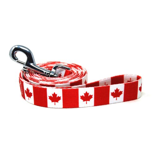 Dog Leash with The Canada Flag Design | Great for National Holidays, Special Events, Festivals, Independence Days and Every Day Strong Safe | 4 or 6 foot long