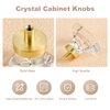 coolnews 8 Pack Crystal Glass Drawer Knobs Brushed Brass/Gold Cabinet Knobs Square Dresser Knobs and Pulls for Kitchen Cupboard 1-3/8 Inch